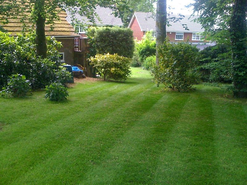 We Stim, Cut and Strip your Lawn, 3 weekly so you have a lovely lawn to enjoy.